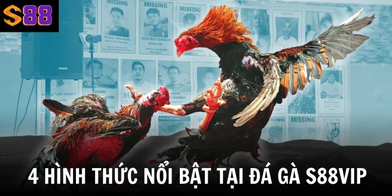 Nhà cái cung cấp nhiều hình thức đá gà giúp người chơi dễ dàng lựa chọn