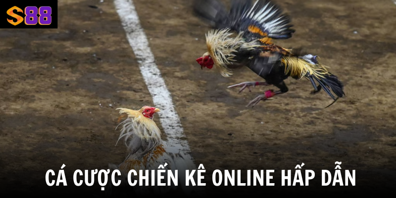 Đá Gà Online S88vip - Tận Hưởng Không Gian Cá Cược Đỉnh Cao 2 Cá cược chiến kê online hấp dẫn