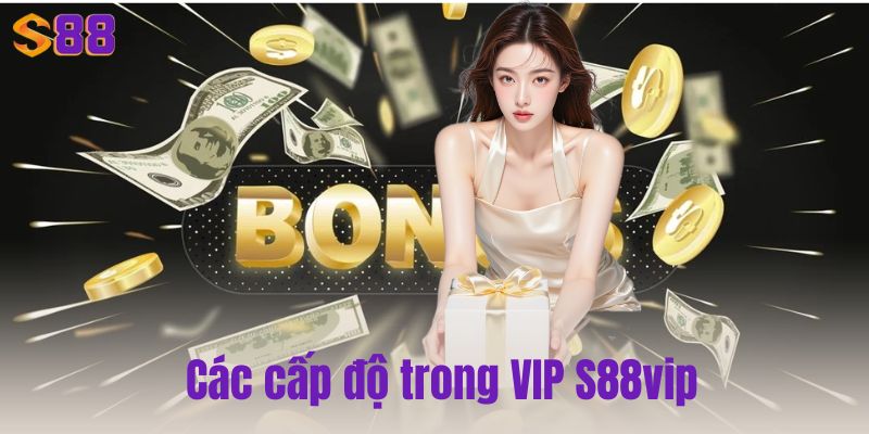 VIP S88vip – Đặc quyền siêu cấp dành cho thành viên cao cấp 2025 2 Các cấp độ trong VIP S88vip