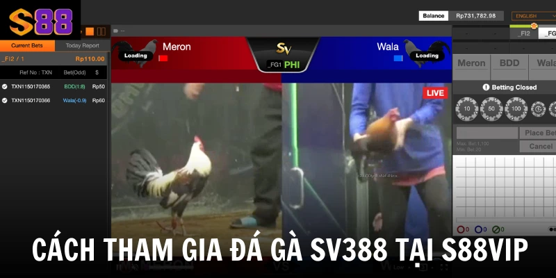 Đá Gà Sv388 Tại S88vip - Nơi Hội Tụ Các Trận Đối Đầu Rực Lửa 3 Cách tham gia đá gà SV388 tại S88VIP