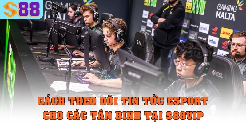 Tin Tức Esport Mới Nhất: Bùng Nổ Giải Đấu Toàn Cầu 2 Cách theo dõi tin tức esport cho các tân binh tại S88VIP
