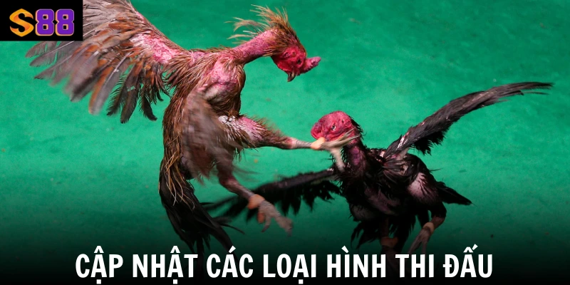 Đá Gà Campuchia S88vip Sảnh Cược Chiến Lên Hấp Dẫn Nhất 2 Cập nhật các loại hình thi đấu
