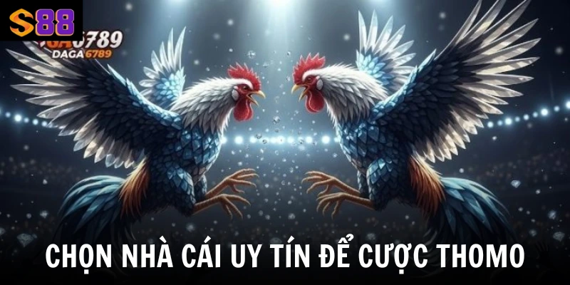 Chọn nhà cái uy tín để cược Thomo