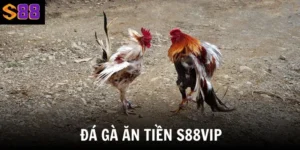 da ga an tien s88vip