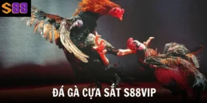 da ga cua sat s88vip