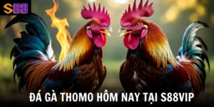 da ga thomo hom nay thumb