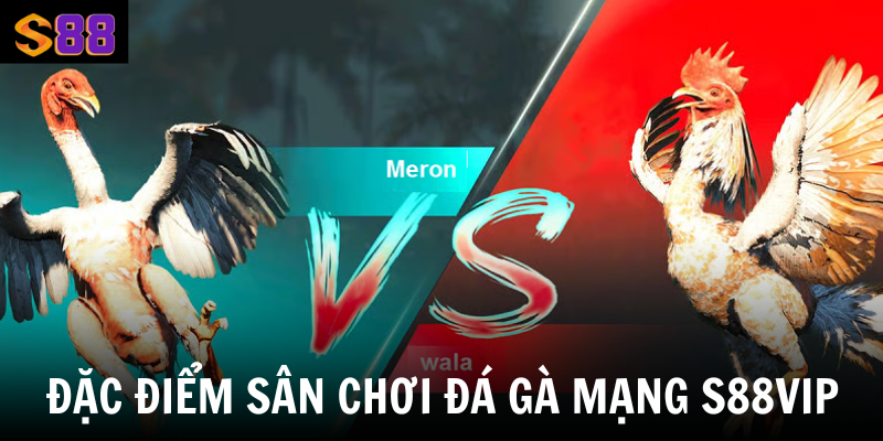 Đá Gà Online S88vip - Tận Hưởng Không Gian Cá Cược Đỉnh Cao 3 Đặc điểm sân chơi đá gà mạng S88Vip