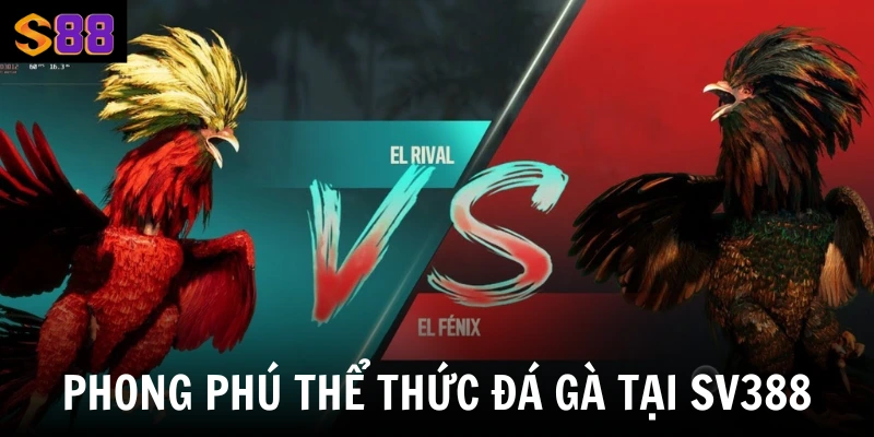 Đá Gà Sv388 Tại S88vip - Nơi Hội Tụ Các Trận Đối Đầu Rực Lửa 2 Phong phú thể thức đá gà tại Sv388