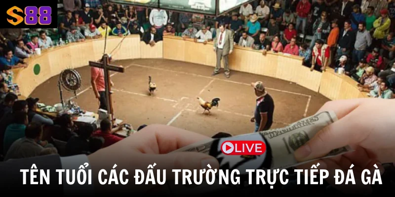 Tên tuổi các đấu trường trực tiếp đá gà