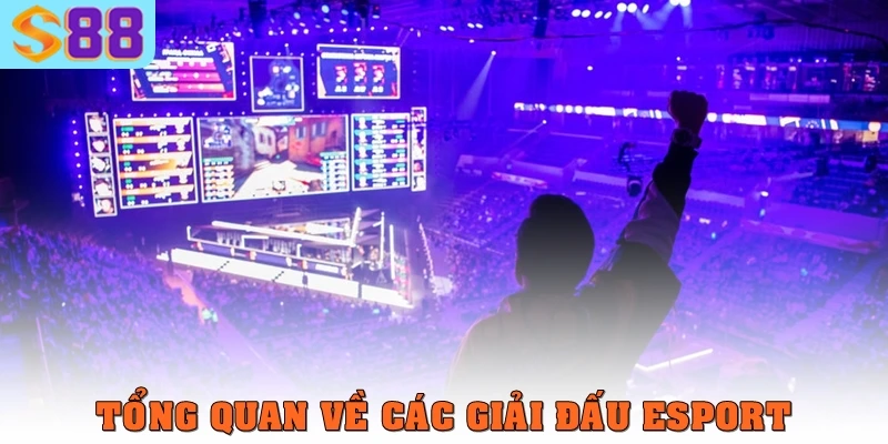 Tổng quan về các giải đấu esport