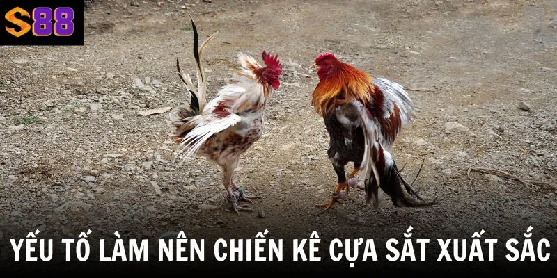 Chọn chiến kê cựa sắt có những yếu tố sau sẽ giúp bạn tối ưu cơ hội thắng